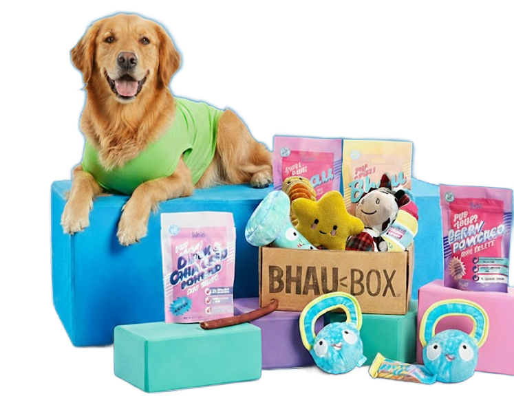 Happy dog with BhauBox toys and treats